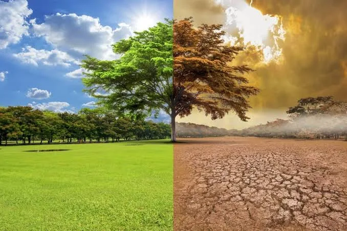 Los modelos climáticos subestiman el calentamiento por efectos de retroalimentación